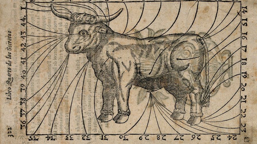 A bull, with parts of the body indicated and numbered: the numbers forming a border around the image. Woodcut, 17--